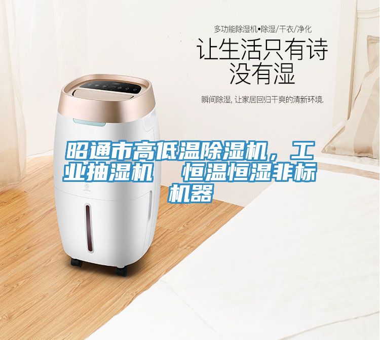 昭通市高低溫除濕機(jī)，工業(yè)抽濕機(jī)  恒溫恒濕非標(biāo)機(jī)器