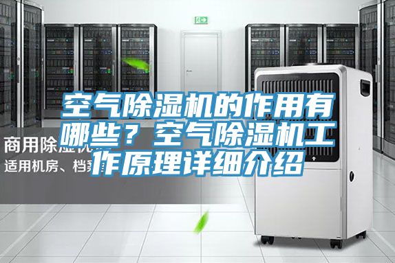 空氣除濕機的作用有哪些？空氣除濕機工作原理詳細介紹