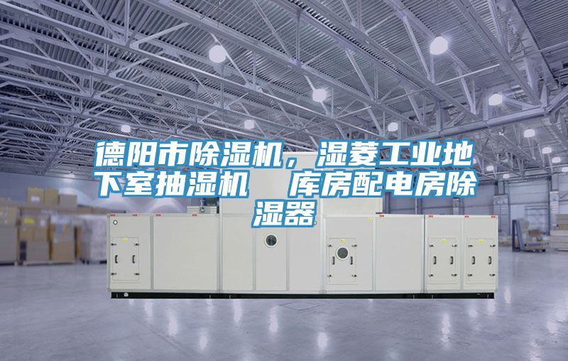 德陽(yáng)市除濕機(jī)，濕菱工業(yè)地下室抽濕機(jī)  庫(kù)房配電房除濕器