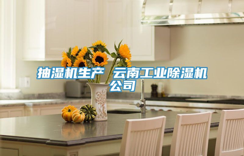 抽濕機生產 云南工業(yè)除濕機公司