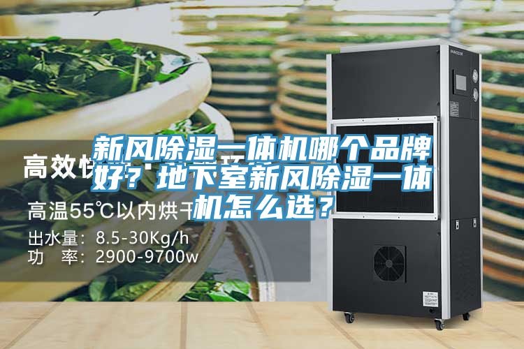 新風(fēng)除濕一體機(jī)哪個(gè)品牌好？地下室新風(fēng)除濕一體機(jī)怎么選？