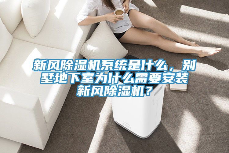 新風除濕機系統(tǒng)是什么，別墅地下室為什么需要安裝新風除濕機？