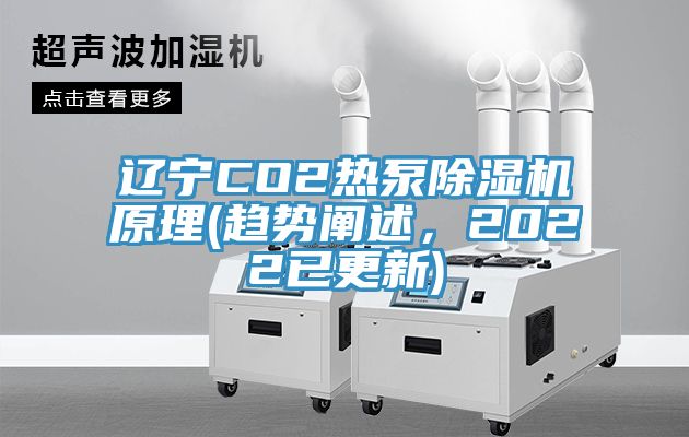 遼寧CO2熱泵除濕機(jī)原理(趨勢(shì)闡述，2022已更新)