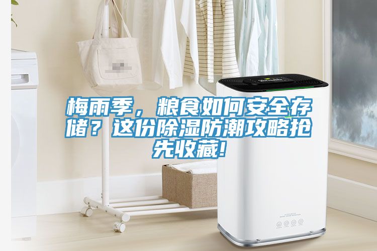 梅雨季，糧食如何安全存儲(chǔ)？這份除濕防潮攻略搶先收藏!