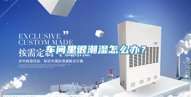 車間里很潮濕怎么辦？