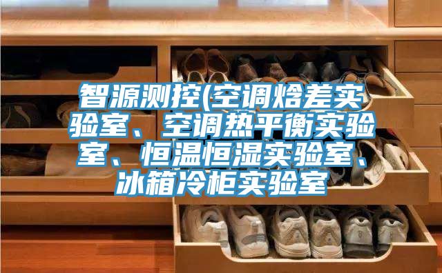 智源測(cè)控(空調(diào)焓差實(shí)驗(yàn)室、空調(diào)熱平衡實(shí)驗(yàn)室、恒溫恒濕實(shí)驗(yàn)室、冰箱冷柜實(shí)驗(yàn)室