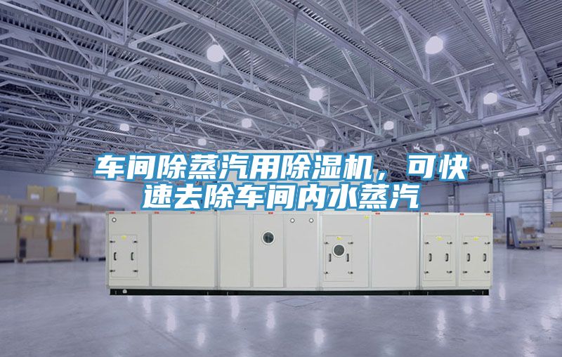車間除蒸汽用除濕機(jī)，可快速去除車間內(nèi)水蒸汽