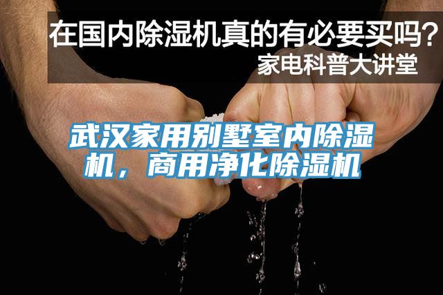 武漢家用別墅室內(nèi)除濕機(jī)，商用凈化除濕機(jī)