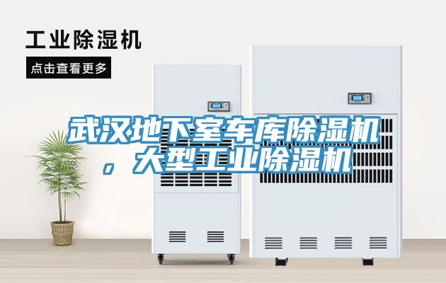 武漢地下室車庫除濕機(jī)，大型工業(yè)除濕機(jī)