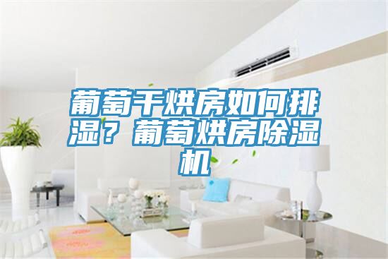 葡萄干烘房如何排濕？葡萄烘房除濕機
