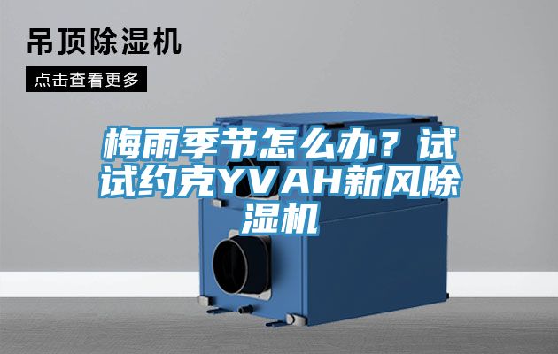 梅雨季節(jié)怎么辦？試試約克YVAH新風(fēng)除濕機(jī)