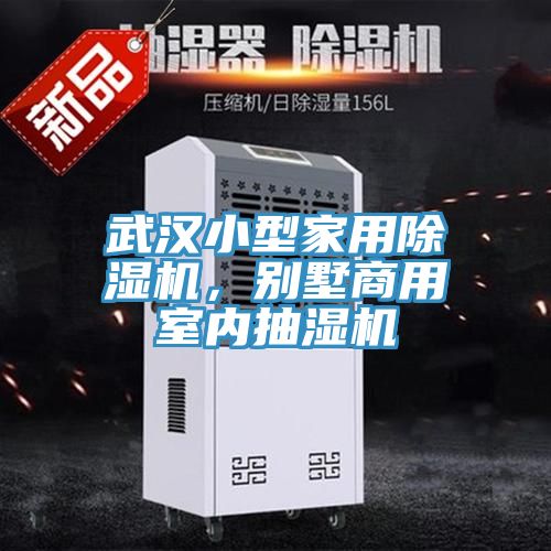 武漢小型家用除濕機(jī)，別墅商用室內(nèi)抽濕機(jī)