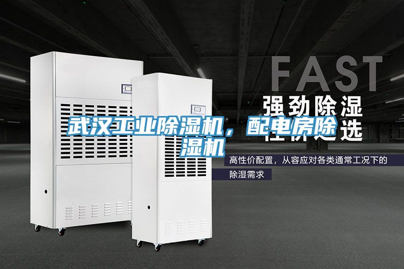 武漢工業(yè)除濕機(jī)，配電房除濕機(jī)