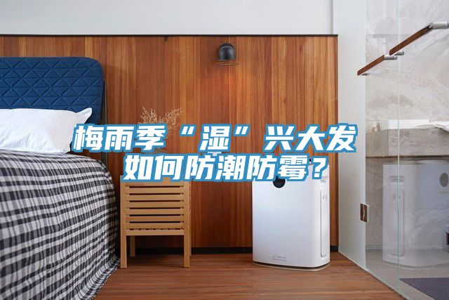 梅雨季“濕”興大發(fā) 如何防潮防霉？