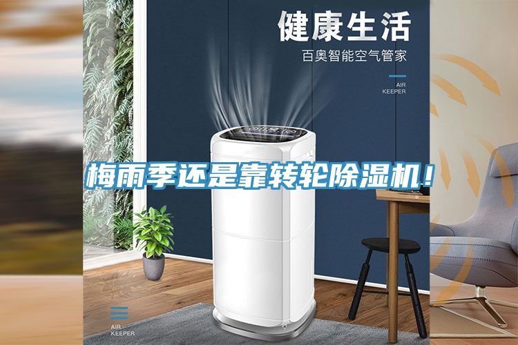 梅雨季還是靠轉(zhuǎn)輪除濕機(jī)！