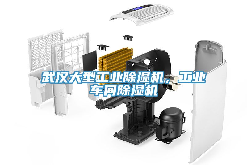 武漢大型工業(yè)除濕機(jī)，工業(yè)車間除濕機(jī)