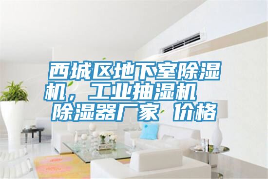 西城區(qū)地下室除濕機，工業(yè)抽濕機  除濕器廠家 價格