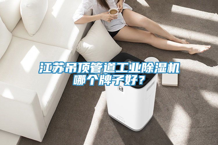 江蘇吊頂管道工業(yè)除濕機哪個牌子好？