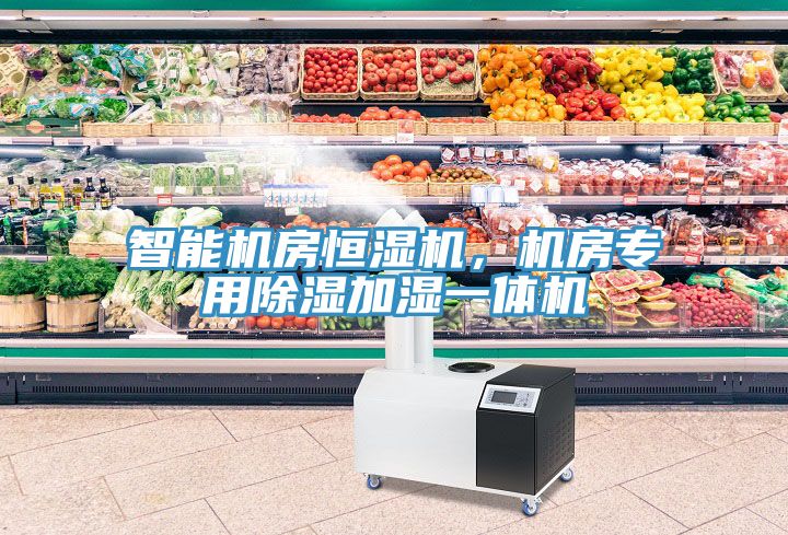 智能機(jī)房恒濕機(jī)，機(jī)房專用除濕加濕一體機(jī)
