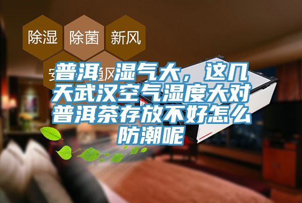 普洱 濕氣大，這幾天武漢空氣濕度大對普洱茶存放不好怎么防潮呢