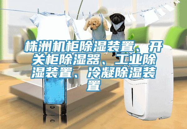 株洲機(jī)柜除濕裝置、開(kāi)關(guān)柜除濕器、工業(yè)除濕裝置、冷凝除濕裝置