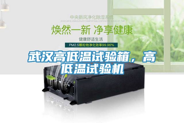 武漢高低溫試驗(yàn)箱，高低溫試驗(yàn)機(jī)