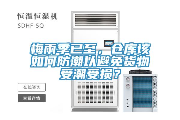 梅雨季已至，倉庫該如何防潮以避免貨物受潮受損？