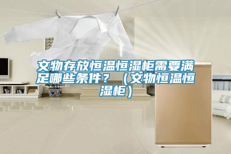 文物存放恒溫恒濕柜需要滿足哪些條件？（文物恒溫恒濕柜）