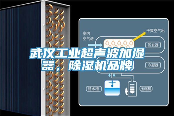 武漢工業(yè)超聲波加濕器，除濕機(jī)品牌
