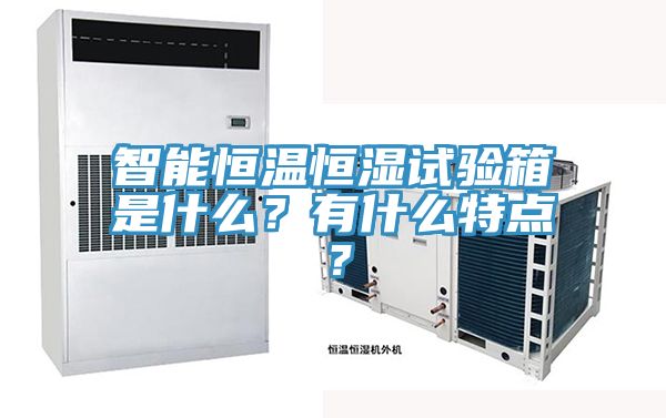 智能恒溫恒濕試驗(yàn)箱是什么？有什么特點(diǎn)？