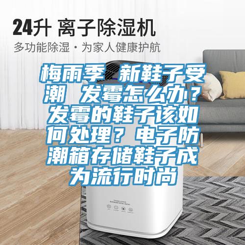 梅雨季 新鞋子受潮 發(fā)霉怎么辦？發(fā)霉的鞋子該如何處理？電子防潮箱存儲鞋子成為流行時尚