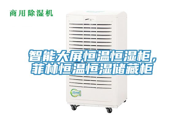 智能大屏恒溫恒濕柜，菲林恒溫恒濕儲藏柜