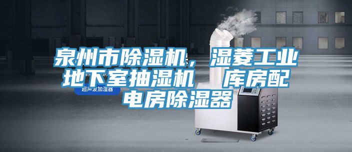 泉州市除濕機，濕菱工業(yè)地下室抽濕機  庫房配電房除濕器