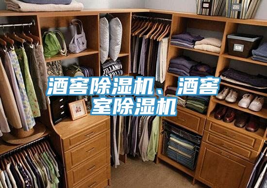 酒窖除濕機(jī)、酒窖室除濕機(jī)