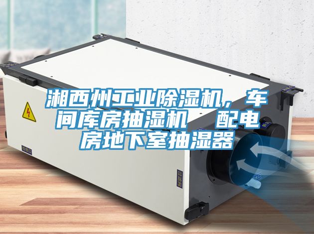 湘西州工業(yè)除濕機(jī)，車(chē)間庫(kù)房抽濕機(jī)  配電房地下室抽濕器