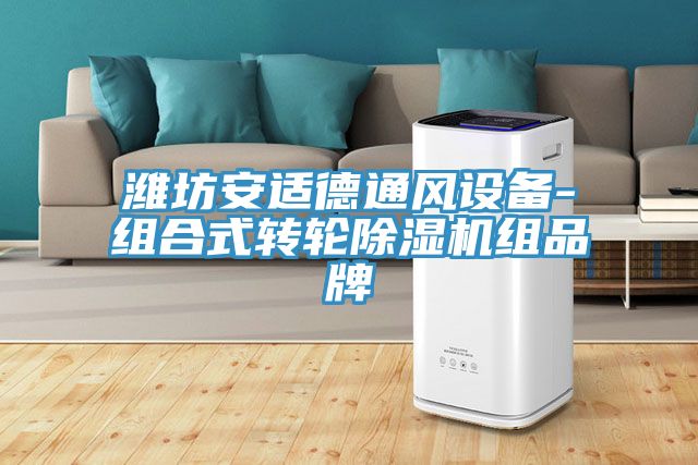 濰坊安適德通風設(shè)備-組合式轉(zhuǎn)輪除濕機組品牌