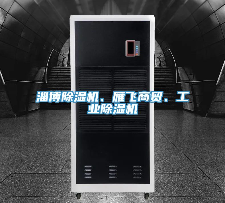淄博除濕機(jī)、雁飛商貿(mào)、工業(yè)除濕機(jī)