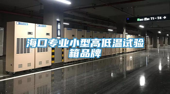 ?？趯?zhuān)業(yè)小型高低溫試驗(yàn)箱品牌