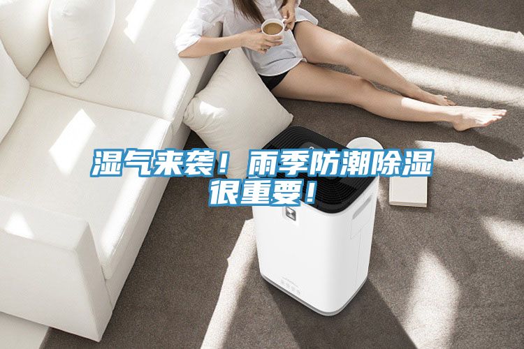 濕氣來(lái)襲！雨季防潮除濕很重要！