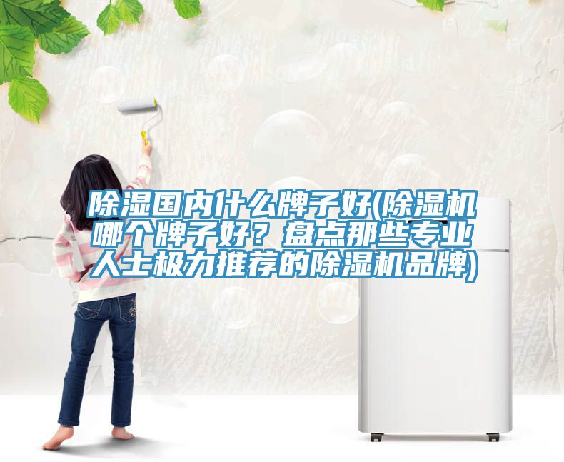 除濕國內(nèi)什么牌子好(除濕機(jī)哪個(gè)牌子好？盤點(diǎn)那些專業(yè)人士極力推薦的除濕機(jī)品牌)
