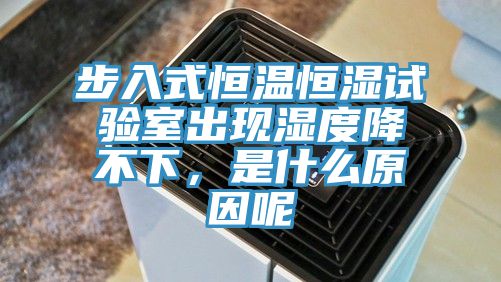 步入式恒溫恒濕試驗(yàn)室出現(xiàn)濕度降不下，是什么原因呢