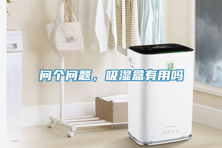 問個(gè)問題，吸濕盒有用嗎