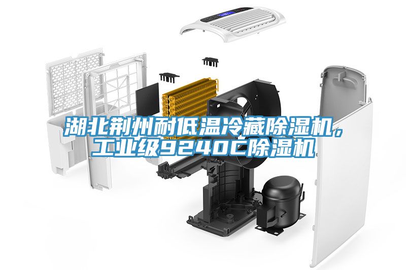 湖北荊州耐低溫冷藏除濕機，工業(yè)級9240C除濕機
