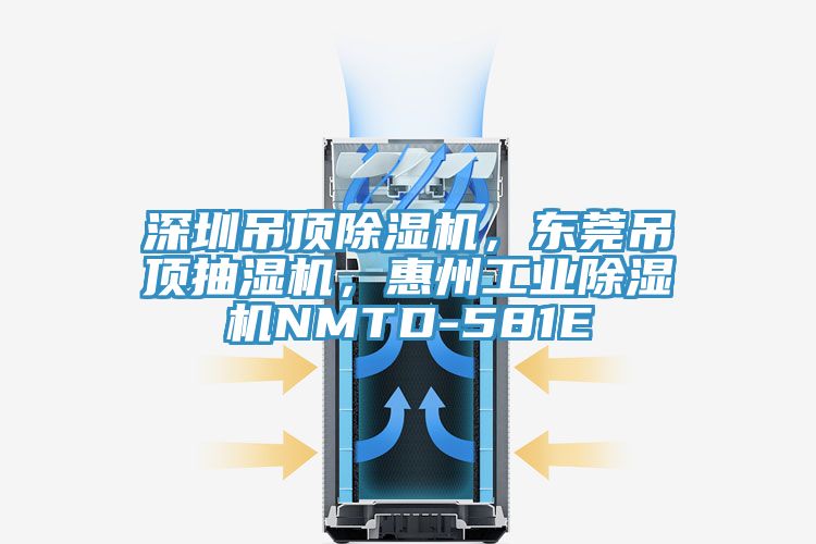 深圳吊頂除濕機，東莞吊頂抽濕機，惠州工業(yè)除濕機NMTD-581E