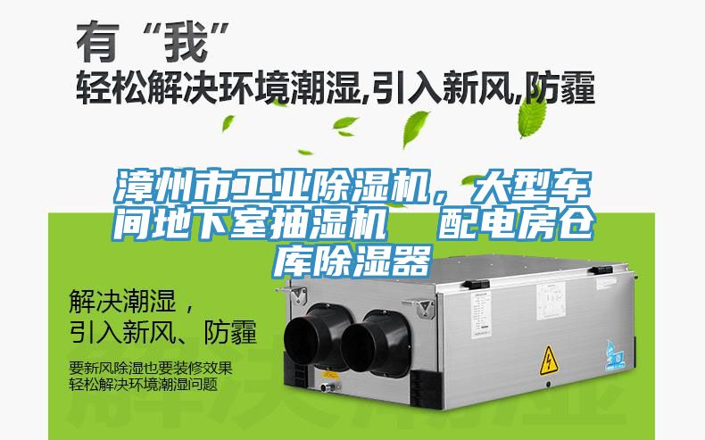 漳州市工業(yè)除濕機，大型車間地下室抽濕機  配電房倉庫除濕器