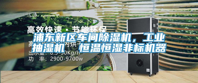 浦東新區(qū)車(chē)間除濕機(jī)，工業(yè)抽濕機(jī)  恒溫恒濕非標(biāo)機(jī)器