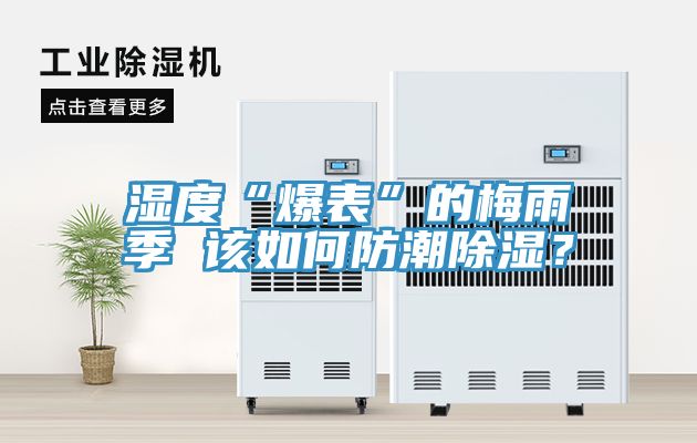 濕度“爆表”的梅雨季 該如何防潮除濕？