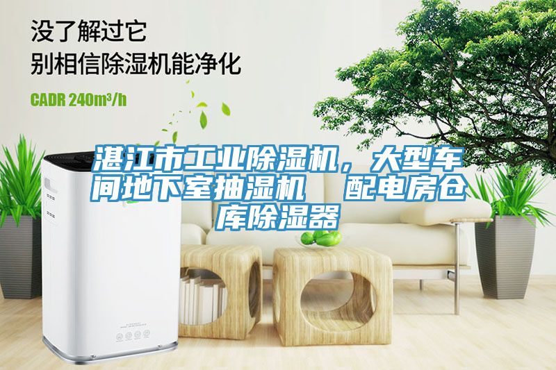 湛江市工業(yè)除濕機(jī)，大型車(chē)間地下室抽濕機(jī)  配電房倉(cāng)庫(kù)除濕器