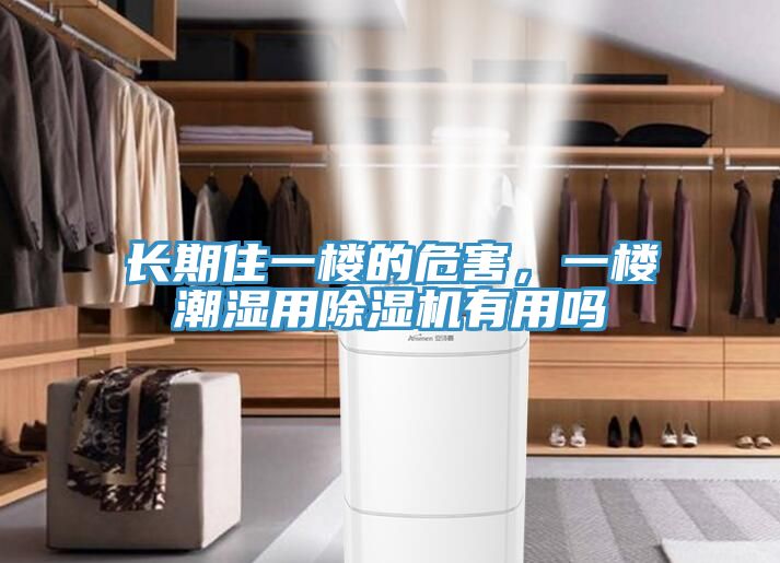 長期住一樓的危害，一樓潮濕用除濕機有用嗎