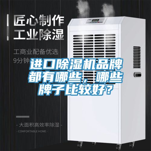 進口除濕機品牌都有哪些，哪些牌子比較好？